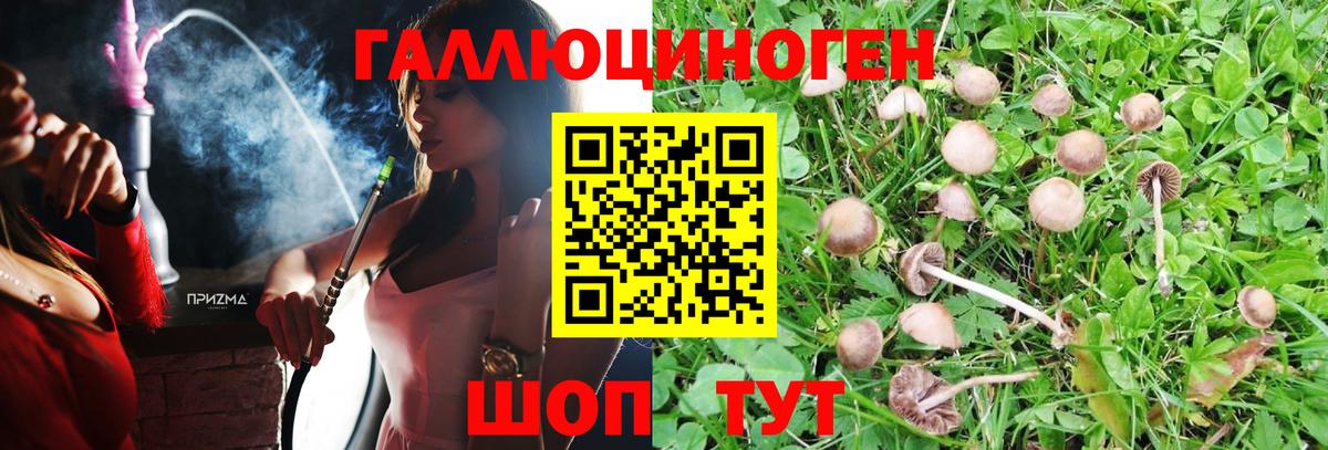 Белореченск  Галлюциногенные грибы Psilocybe  Вход с VPN  Галлюциногенные грибы MAGIC MUSHROOMS 